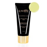 Cumpara ieftin Polygel REVOMAX GEL LUXORISE Citrus Temptation, 15ml