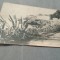 CP NERVI RIVIERA DI LEVANTE CIRCULATA LA KOLOSVAR SAU CLUJ-NAPOCA\1922