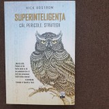 Nick Bostrom - Superinteligenta. Cai, pericole, strategii