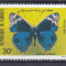 DB1 Fauna Fluturi 1984 Djibouti 5 v. MNH