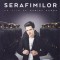DVD Film de colectie: Un pas in urma serafimilor ( original, ca nou - vezi descriere )