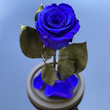 Cumpara ieftin Trandafir Criogenat albastru &Oslash;6,5cm in cupola sticla 10x20cm