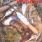 Practicing Primitive: A Handbook of Aboriginal Skills