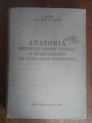 Anatomia sistemului nervos central si neurovegetativ... - V. Ghetie, E. Pastea foto