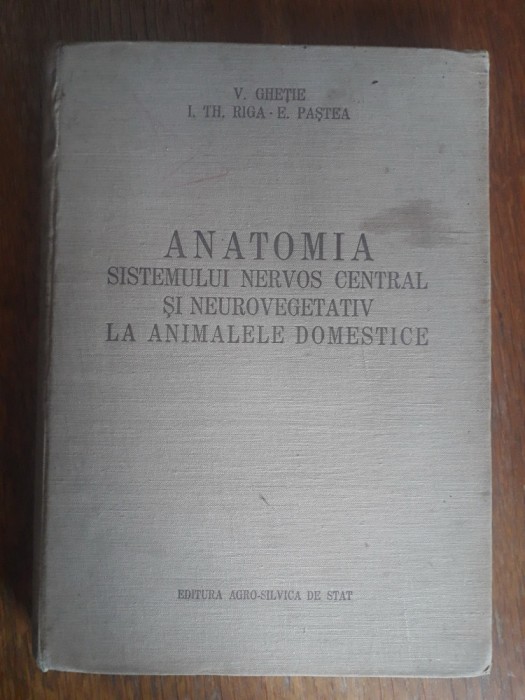 Anatomia sistemului nervos central si neurovegetativ... - V. Ghetie, E. Pastea