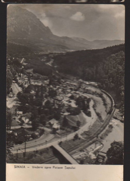CPIB 22530 - CARTE POSTAL - SINAIA. VEDERE SPRE POIANA TAPULUI, RPR