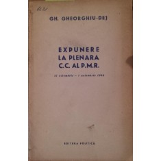 EXPUNERE LA PLENARA C . C . AL P . M . R . 31 OCTOMBRIE - 1 NOIEMBRIE 1960
