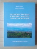 Dana Goțiu; Virgil Surdeanu - Hazardele naturale și riscurile asociate din Țara Hațegului (2008)