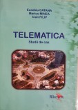 Telematica - studiu de caz - Eusebiu Catana