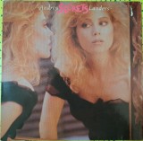 Disc Vinil Audrey Landers - Secrets-WEA - 242 479-1