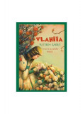 Vlahiia - Paperback brosat - Danion Vasile - Areopag