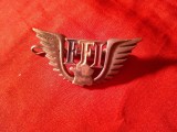 Insigna ww2 Franta Libera FFI cu harta si aripi , metal si email , Dim. =4x2cm , semnat verso A.Bertrand