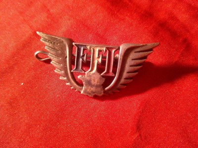 Insigna ww2 Franta Libera FFI cu harta si aripi , metal si email , Dim. =4x2cm , semnat verso A.Bertrand foto