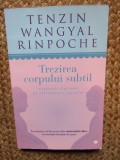 TREZIREA CORPULUI SUBTIL - TENZIN WANGYAL RINPOCHE