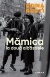 Mamica la doua albastrele - Doina Rusti - Carte copii, povesti