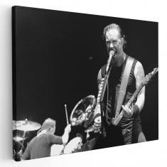 Tablou afis Metallica trupa rock 2297 Tablou canvas pe panza CU RAMA 20x30 cm