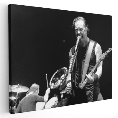 Tablou afis Metallica trupa rock 2297 Tablou canvas pe panza CU RAMA 20x30 cm foto