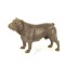 Buldog englez-statueta din bronz SL-95