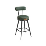 Cumpara ieftin Set de 2 scaune de bar Vasagle Verde 54x54x90.5 cm