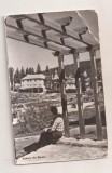 RF177 - Carte Postala - Borsec, circulata 1962