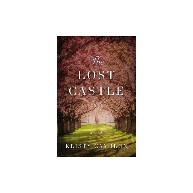 The Lost Castle: A Split-Time Romance