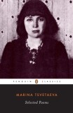 Selected Poems (Tsvetaeva, Marina)
