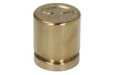 Cumpara ieftin Pistoane pentru etrier fata (fara sigilii) pentru HONDA TRX 500/680 2000-2012