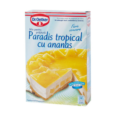 Mix pentru Prajitura Paradis Tropical cu Ananas Dr. Oetker, 287 g, Mix Prajitura Paradis Tropical, Paradis Tropical Dr. Oetker, Mix Prajitura cu Anana foto