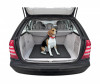 Protectie portbagaj transport animale de companie, Kegel Balto XL, 77x73x3 cm AutoDrive ProParts