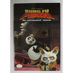 DREAM WORKS , KUNG FU PANDA - UN ANTRENAMENT INTENSIV - de CATHERINE HAPKA , 2008
