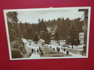 C.P. BORSEC-VEDERE DIN PARC -CIRCULATA foto