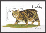 AFGANISTAN 1997 FAUNA PISICI ( colita dantelata) MNH, Nestampilat