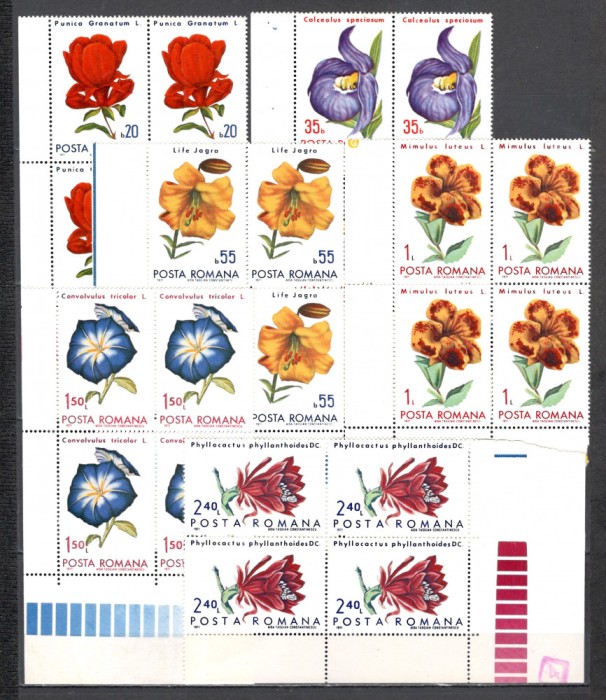 Romania.1971 Flori din Gradini Botanice bloc 4 ZR.417