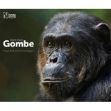 Tales from Gombe