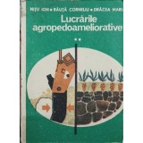LUCRARILE AGROPEDOAMELIORATIVE-NITU ION, RAUTA CORNELIU, DRACEA MARIA-238456