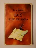 Ion Bulei - 1916: zile de vară