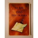 Ion Bulei - 1916: zile de vară