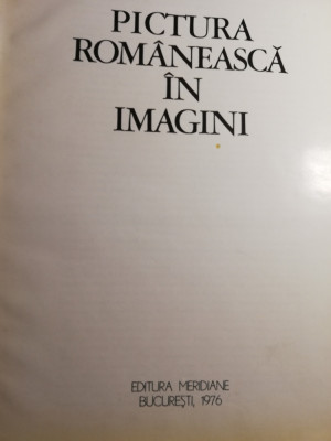 Pictura romaneasca &amp;icirc;n imagini foto