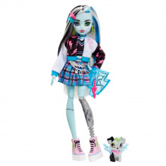 Papusa Monster High Frankie Stein cu animalut si accesorii, HHK53