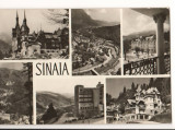 CPIB 15716 CARTE POSTALA - SINAIA, MOZAIC, Necirculata, Fotografie