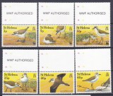 DB1 Fauna WWF St. Helena 1993 Pasari 6 v. MNH