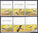 DB1 Fauna WWF St. Helena 1993 Pasari 6 v. MNH, Nestampilat