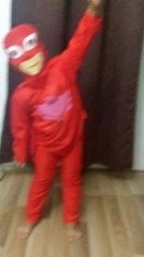 Costum Bufnita Pjmask ( eroi in pijamale ) 4-6 ani M foto