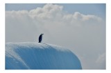 Tablou Canvas, "Singuraticul pinguin pe ghețarul albastru", Penguin, Iceberg, Solitude, Clouds, Horizon, 39 x 26 cm, CMCLASS