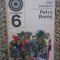 Paul Simionescu - Petru Rares