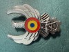 Insigna Subinginer fara clasa aviatie militara 1992 2000