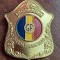 QW14 - Emblema militara - Garda financiara - piesa de colectie