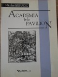 ACADEMIA DE LA PAVILION. DESPRE CUM SE POATE GANDI FRUMOS-NICOLAE BUSUIOC (CU DEDICATIE CATRE PICTORUL DAN -234204