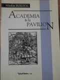 ACADEMIA DE LA PAVILION. DESPRE CUM SE POATE GANDI FRUMOS-NICOLAE BUSUIOC (CU DEDICATIE CATRE PICTORUL DAN HATMA