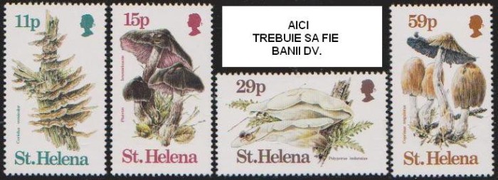 ST. HELENE - 1983 - CIUPERCI